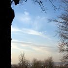 Blick von der Südhöhe auf die Dresdner City