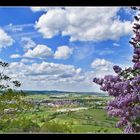 Blick von der Tannenburg auf Bühlertann