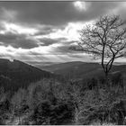 Blick von der Terasse des Alpenhauses bei Milchenbach