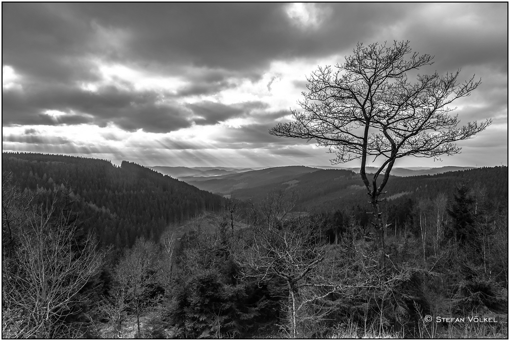 Blick von der Terasse des Alpenhauses bei Milchenbach