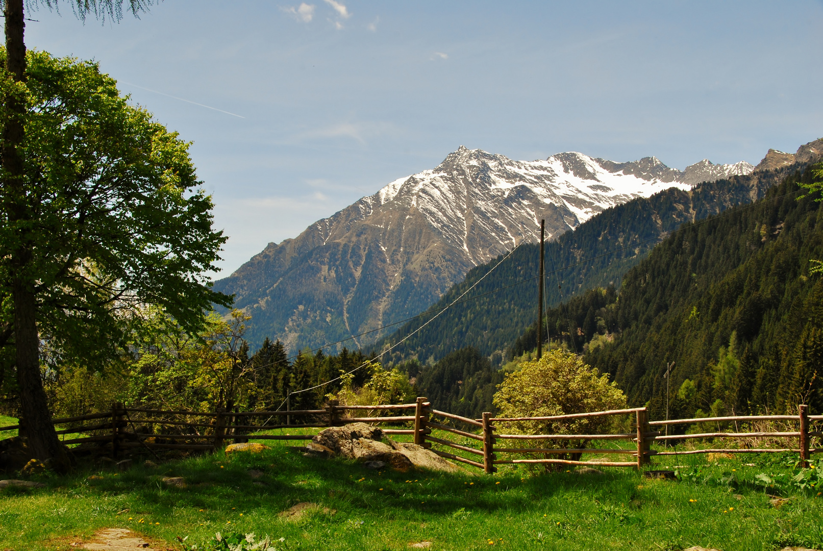 Blick von der Terrasse