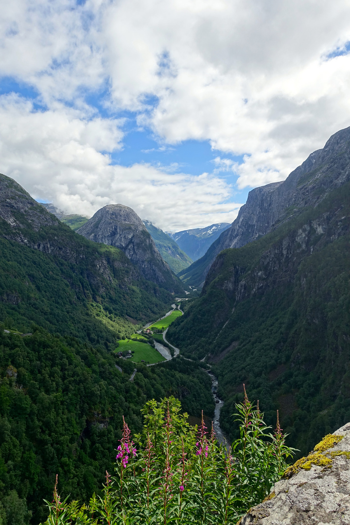 Blick von der Terrasse