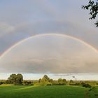 Blick von der Terrasse auf die Koppel ...