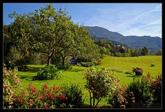 Blick von der Terrasse