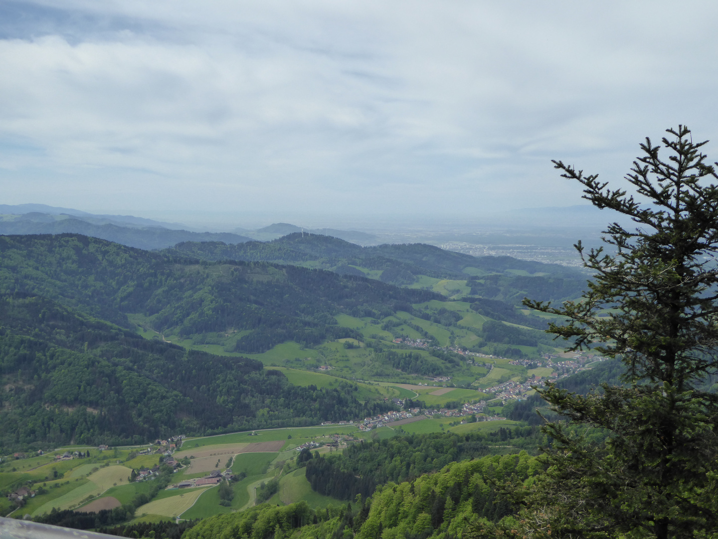 Blick von der Thomashütte ins Glottertal