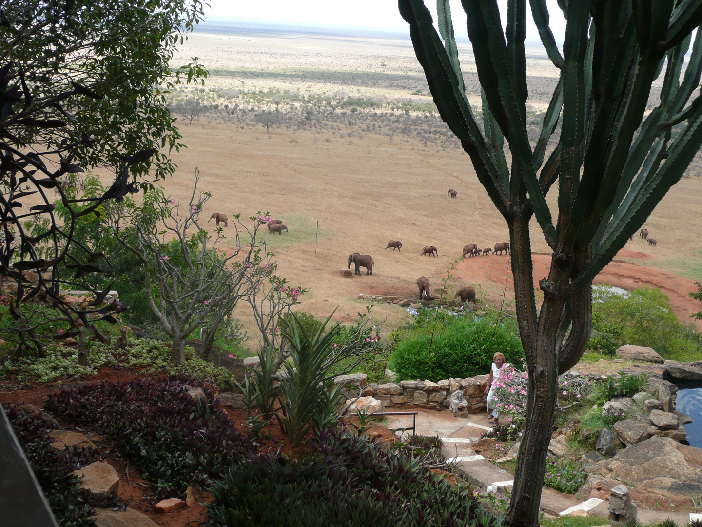 Blick von der Voi Lodge