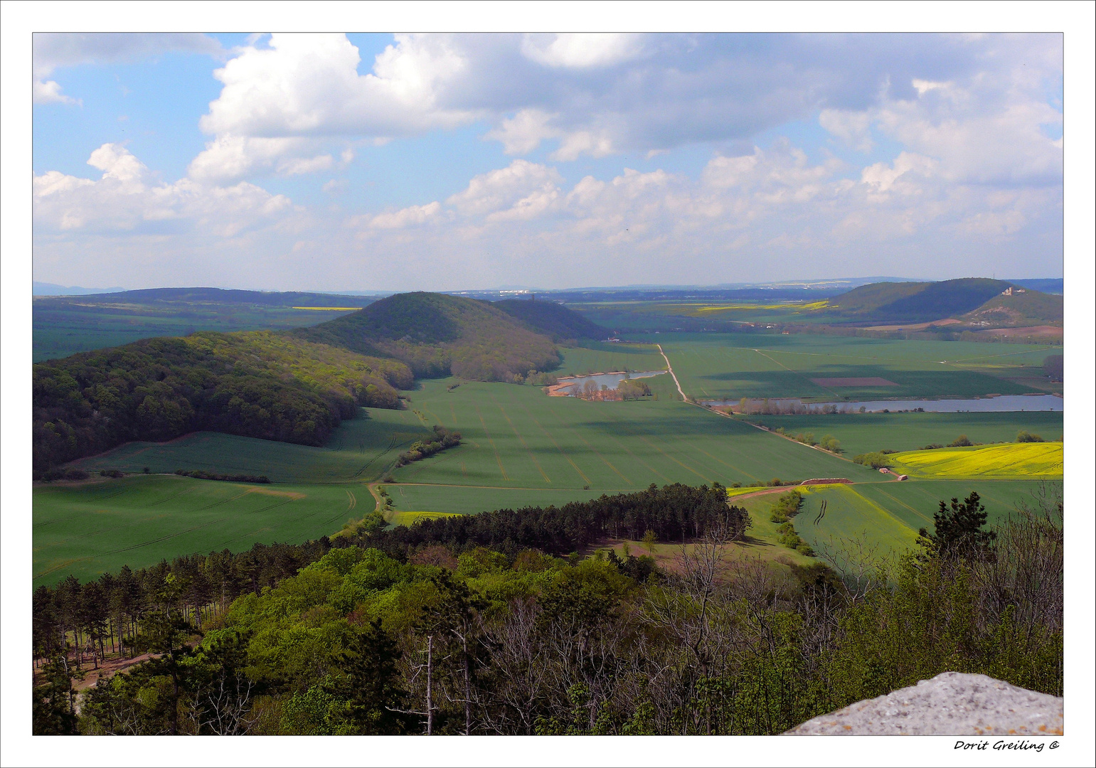 Blick von der Wachsenburg