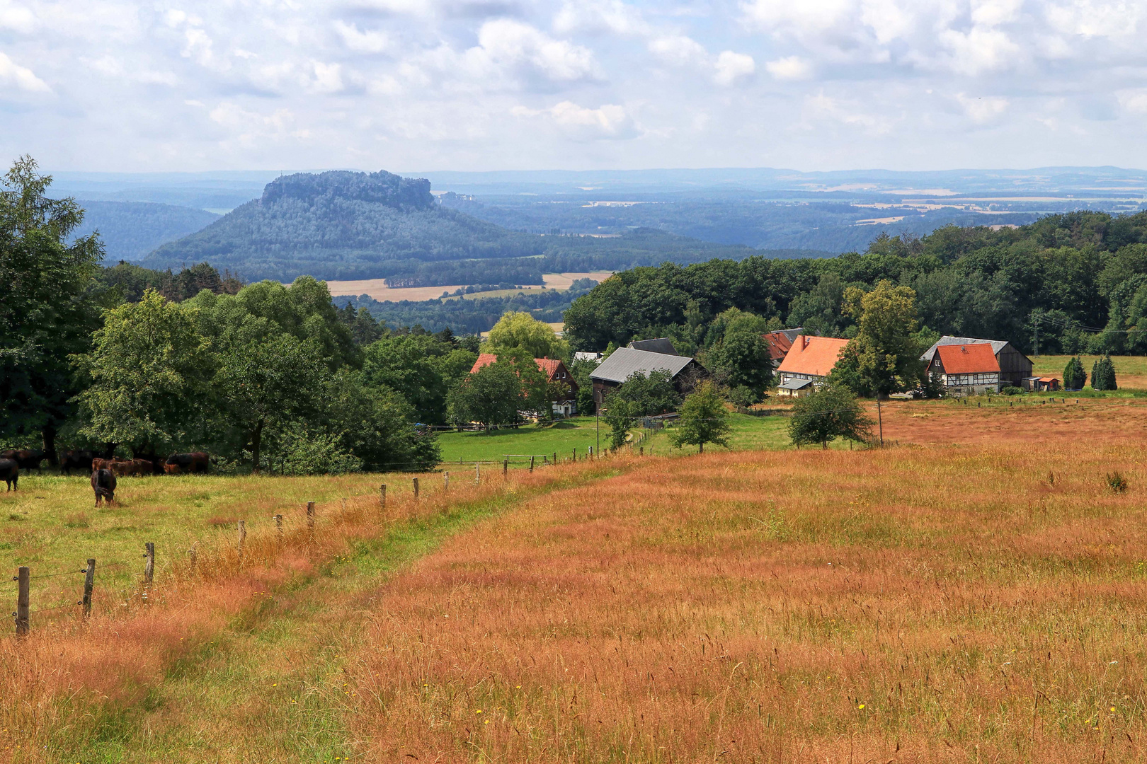 Blick von der Waitzdorfer Höhe zum Lilienstein