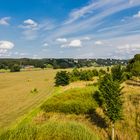 Blick von der Waldschlösschenbrücke in Dresden