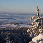 Blick von der Waldsteinburg