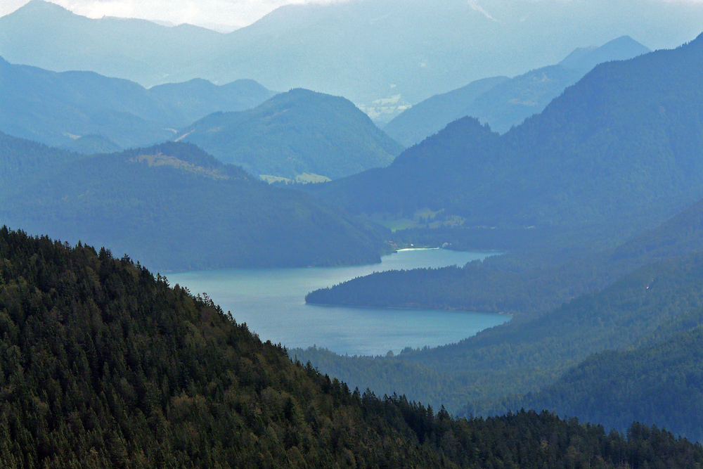 Blick von der Walgauer Alm auf den Walchensee