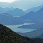 Blick von der Walgauer Alm auf den Walchensee