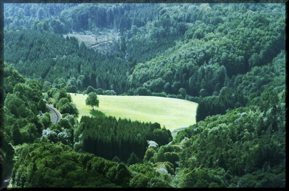 Blick von der Wartburg in den Thüringer Wald