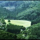 Blick von der Wartburg in den Thüringer Wald