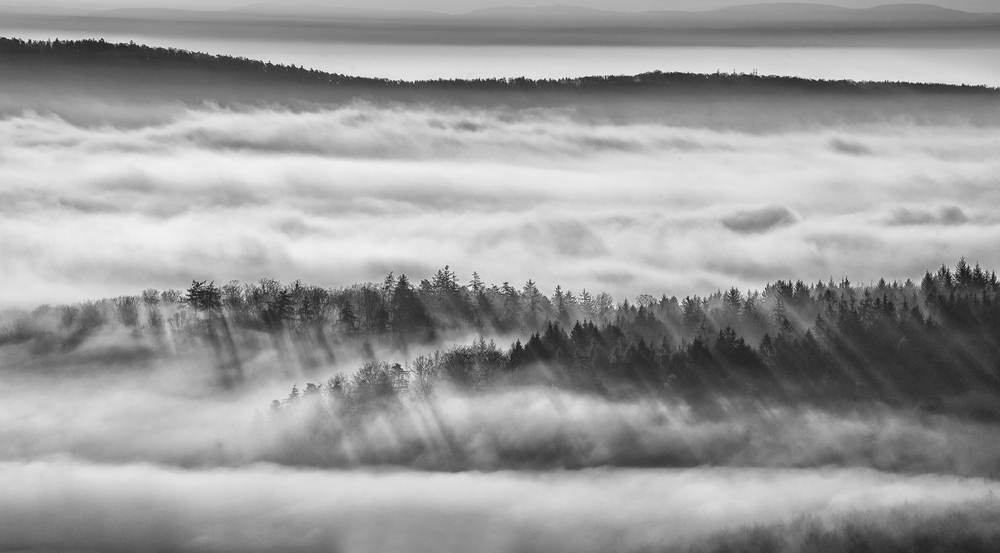 Blick von der Wegelnburg