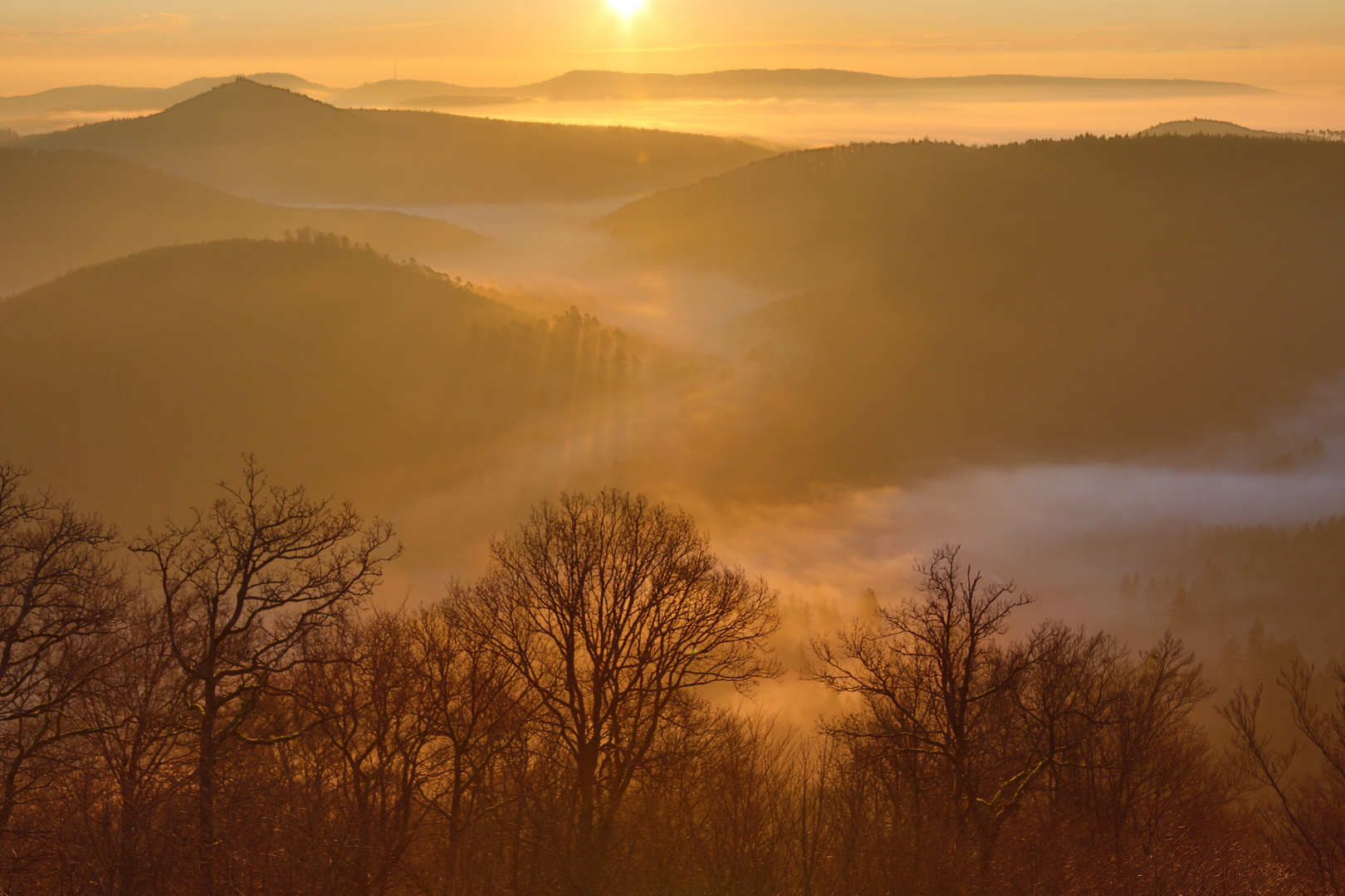 Blick von der Wegelnburg im Dezember