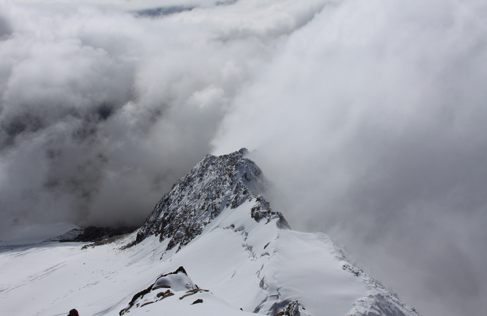 Blick von der Wildspitze II