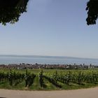 Blick von der Wilhelmshöhe auf Hagnau und den Bodensee