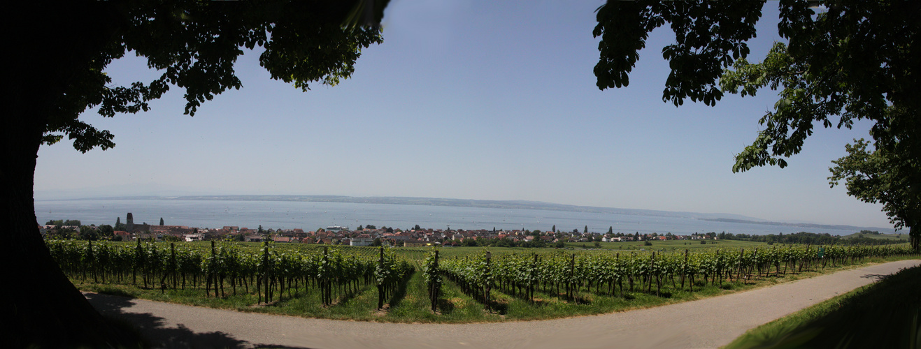 Blick von der Wilhelmshöhe auf Hagnau und den Bodensee