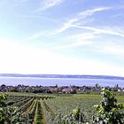 Blick von der Wilhelmshöhe in Hagnau auf den Bodensee