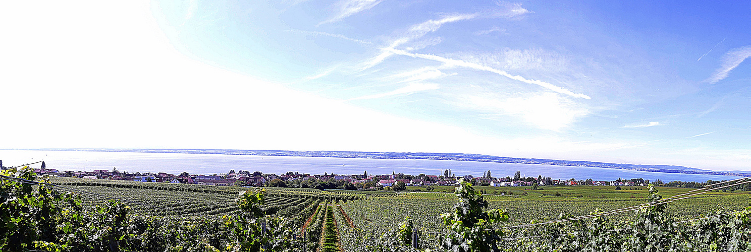 Blick von der Wilhelmshöhe in Hagnau auf den Bodensee