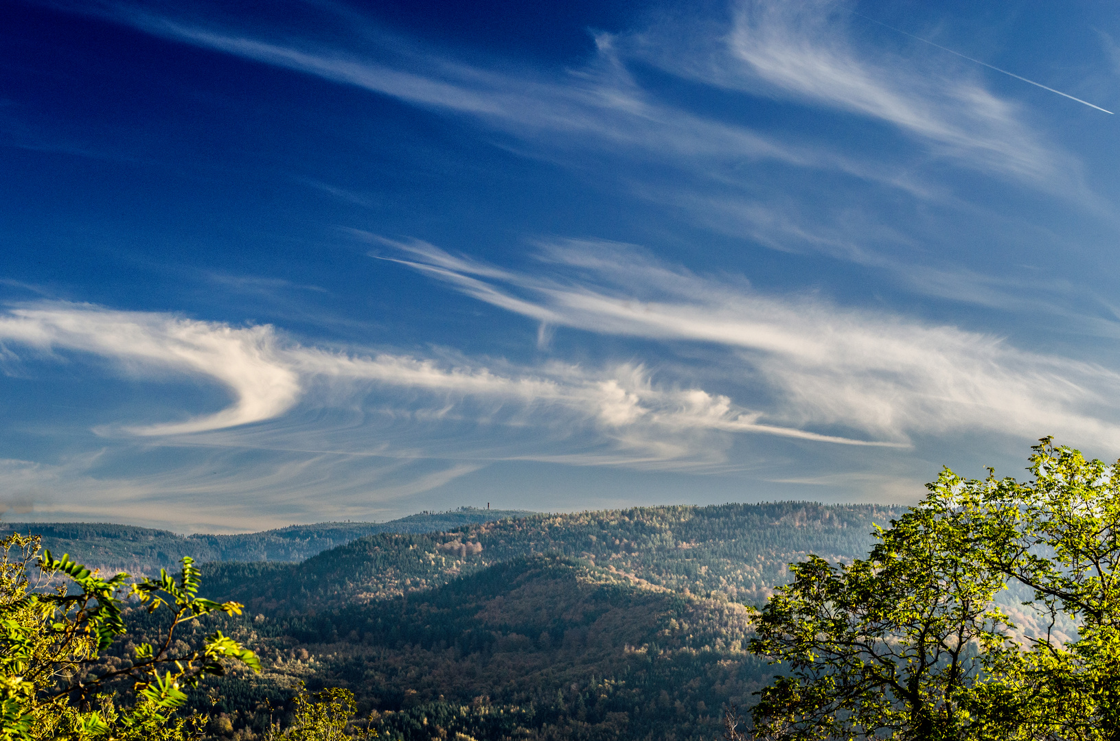 Blick von der Yburg auf den Schwarzwald