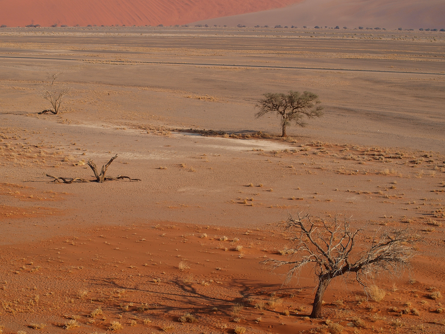 Blick von Dune 45 (Sossusvlei - Namibia)