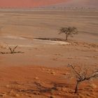 Blick von Dune 45 (Sossusvlei - Namibia)