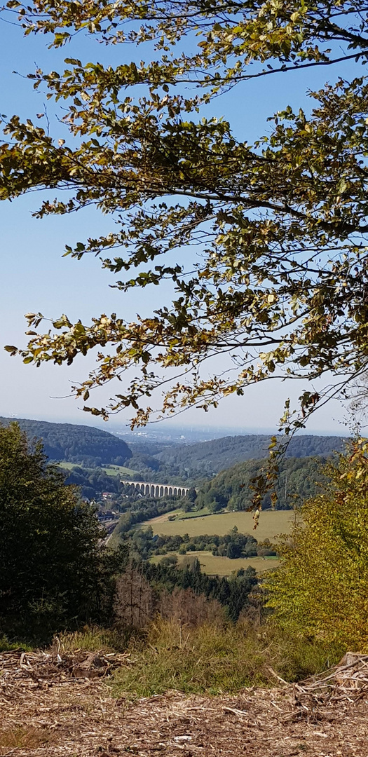 Blick von Eggekammm (Teutoburgerwald) auf den Eisenbahnviadukt in Altenbeken (Kreis Paderborn)