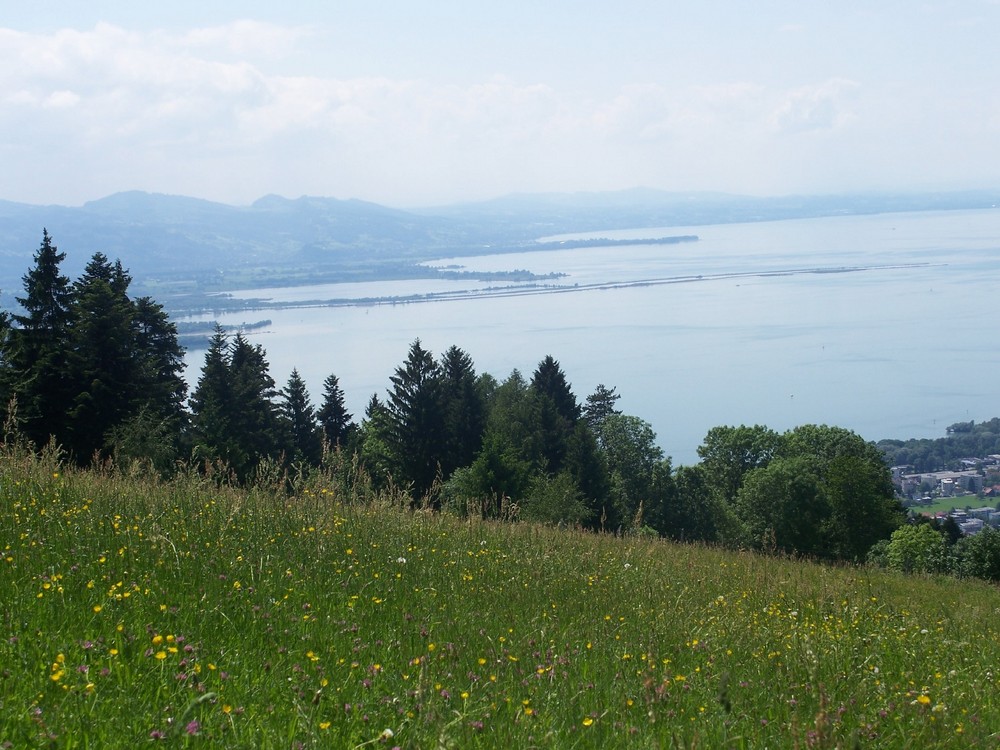 Blick von Eichenberg zum Bodensee