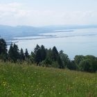 Blick von Eichenberg zum Bodensee