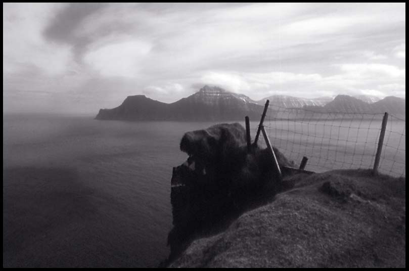 Blick von Eysturoy nach Kalsoy (Faeroer)