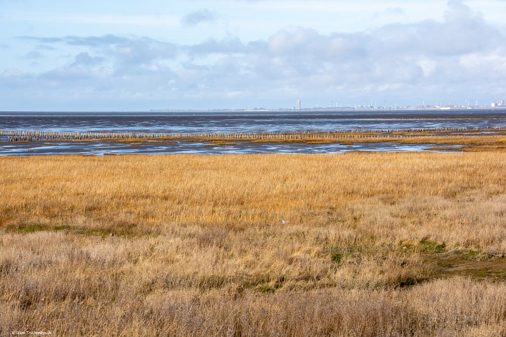 Blick von Friedrichskoog über die Meldorfer Bucht nach Büsum