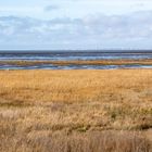 Blick von Friedrichskoog über die Meldorfer Bucht nach Büsum