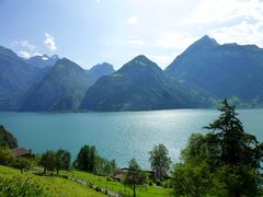 Blick von Gersau über den Vierwaldstättersee ....