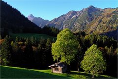 Blick von Gerstruben zur Trettachspitze