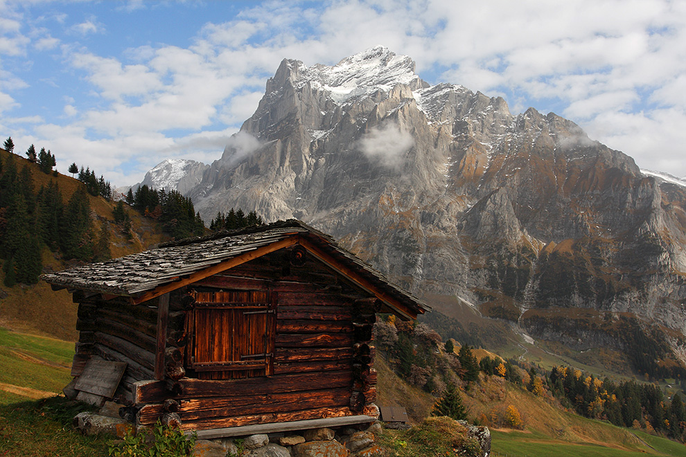 Blick von Grindelwald-Bort auf das Wetterhorn