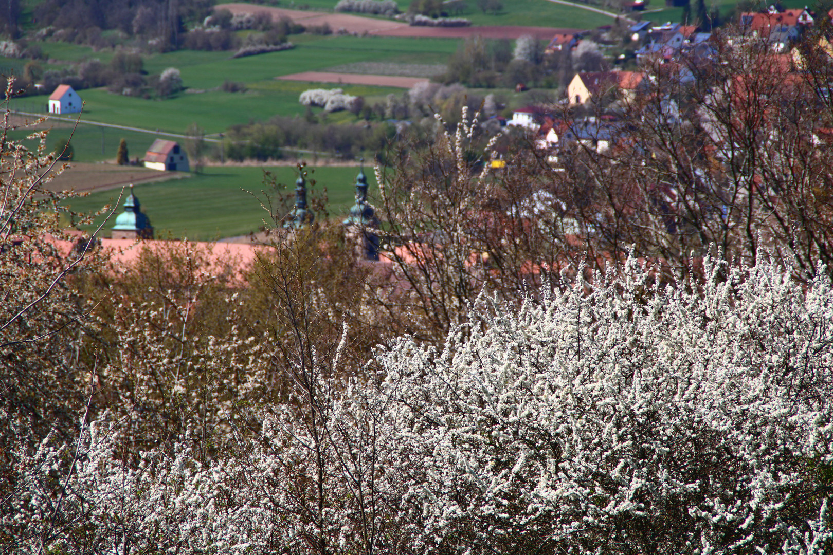 Blick von Großweingarten nach Spalt in Mittelfranken