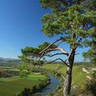 Blick von Hessigheimer Weinberge, Felsengarten