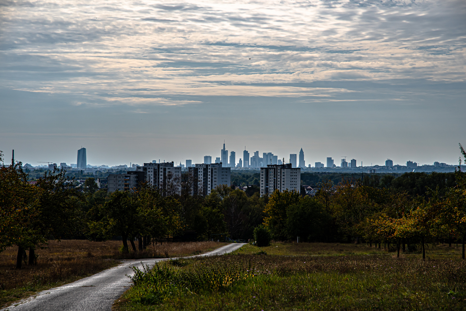 Blick von Hochstadt nach FFM