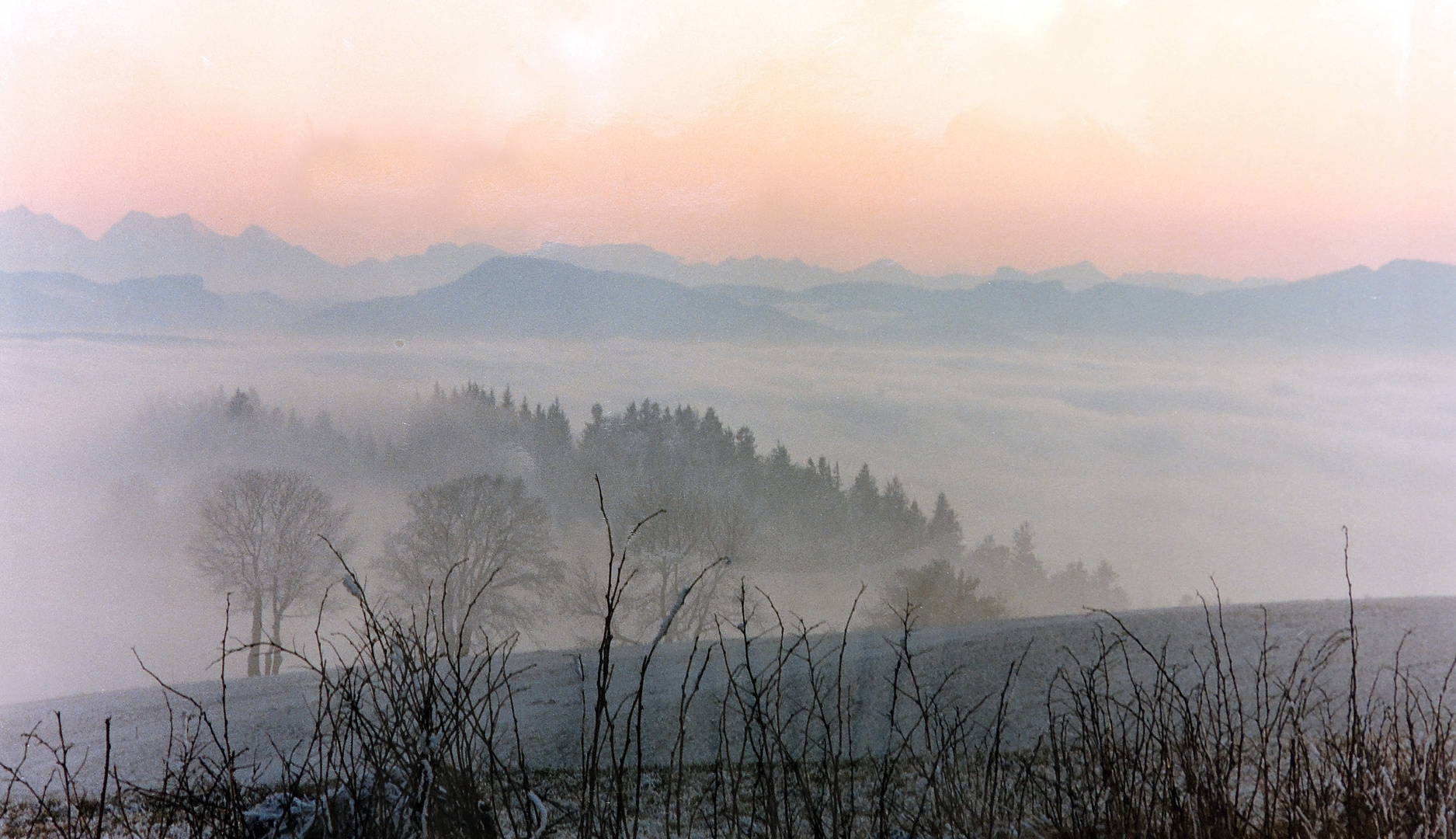 Blick von Höchenschwand übers Rheintal auf die Schweizer Alpen