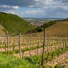 Blick  von "In der Lück" auf Büdesheim