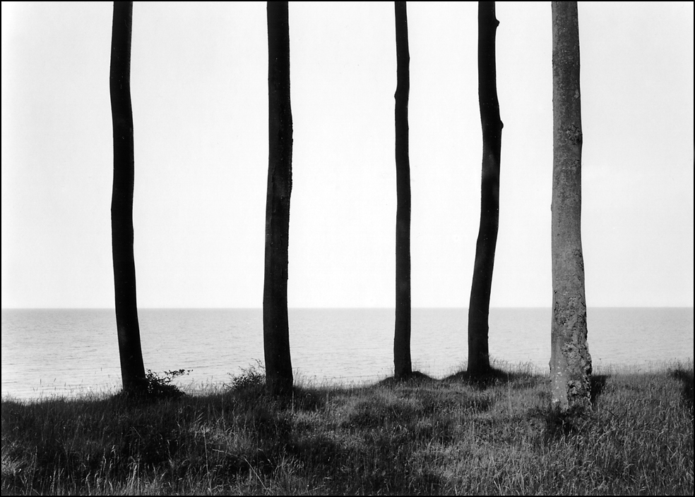 Blick von innen nach außen [Usedom (1 gross), 1994]