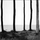 Blick von innen nach außen [Usedom (1 gross), 1994]