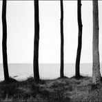 Blick von innen nach außen [Usedom (1 gross), 1994]