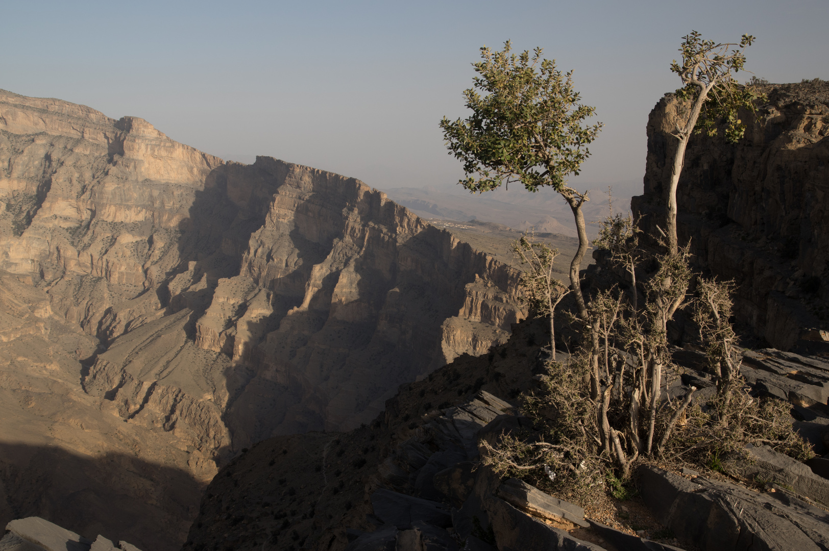 Blick von Jabal Shams dem Grand Canyon Omans