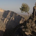 Blick von Jabal Shams dem Grand Canyon Omans