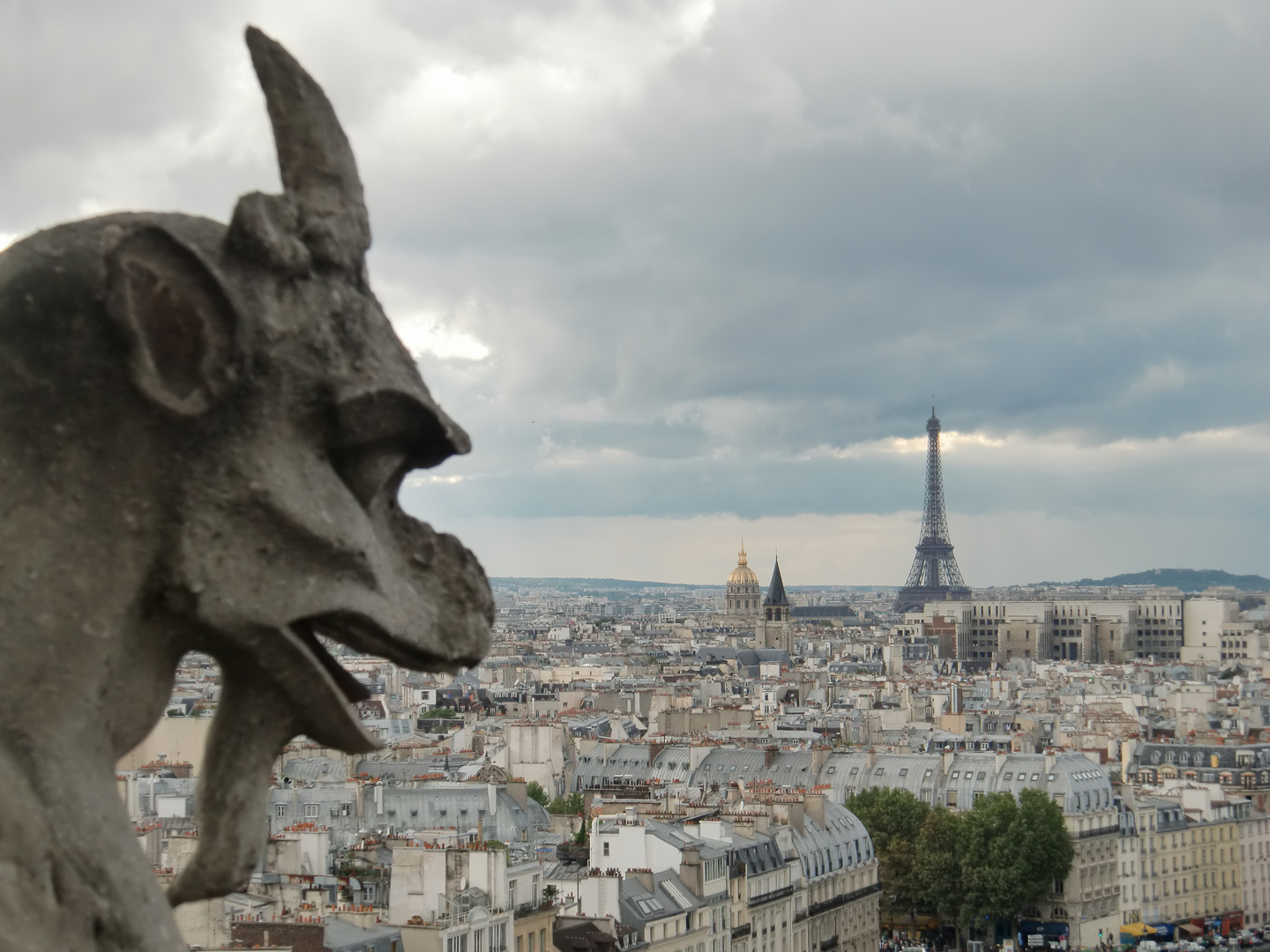 Blick von Kathedrale Notre-Dame