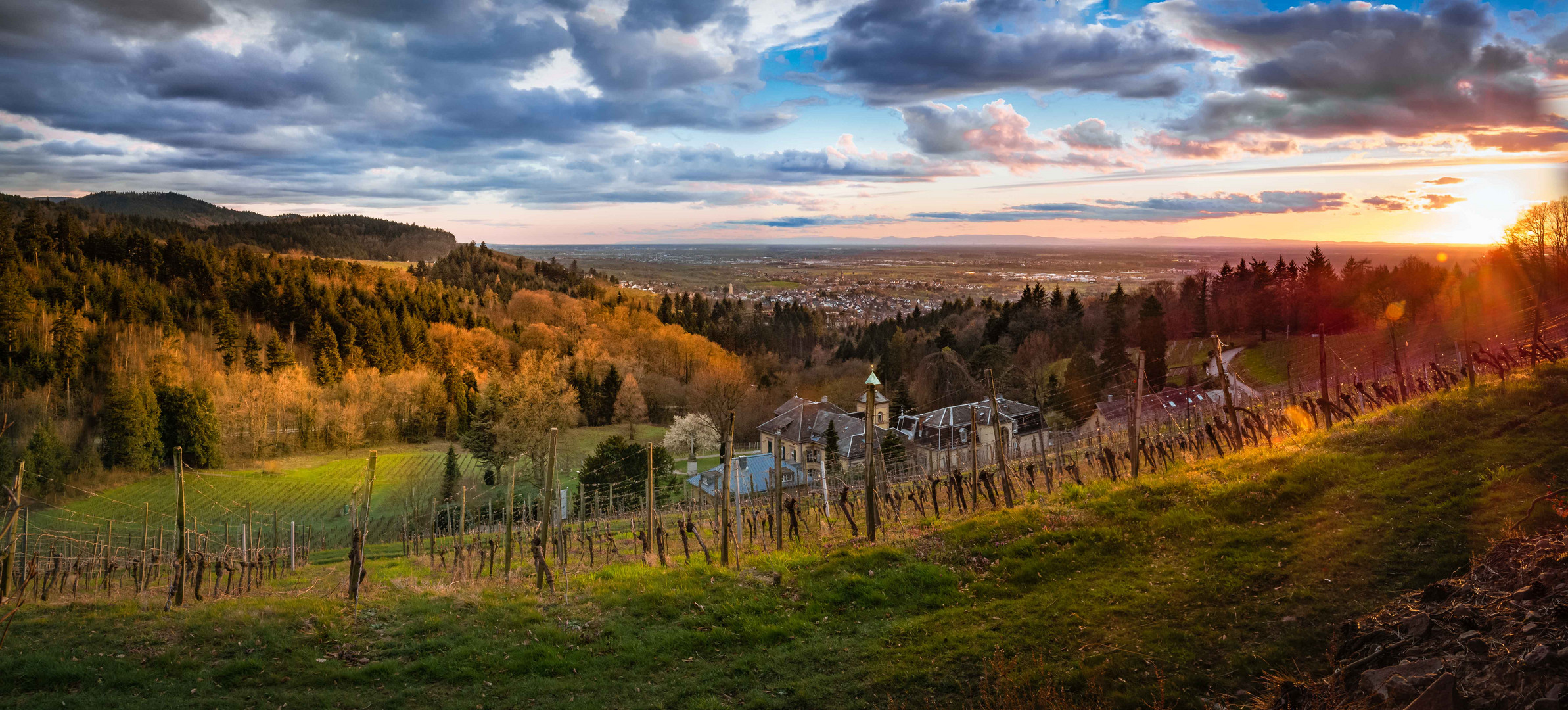 Blick von Klostergut III