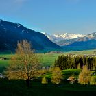 Blick von Kühbühel Richtung Hohe Tauern.